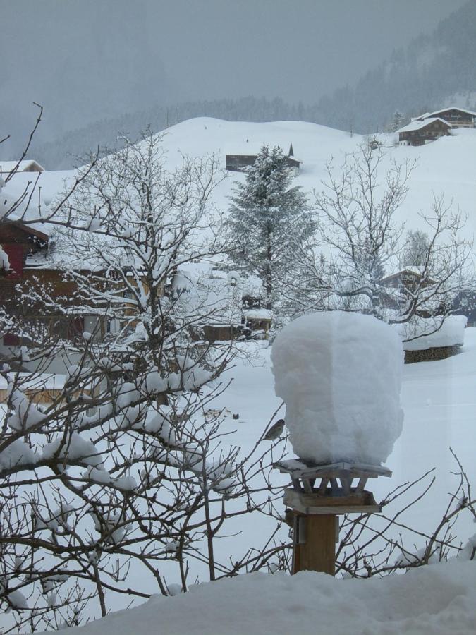 Apartamento Urlaub Bei Moses Schoppernau Exterior foto
